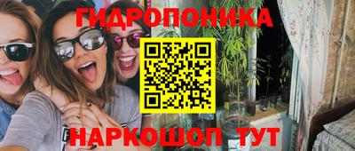 крисы Бердск
