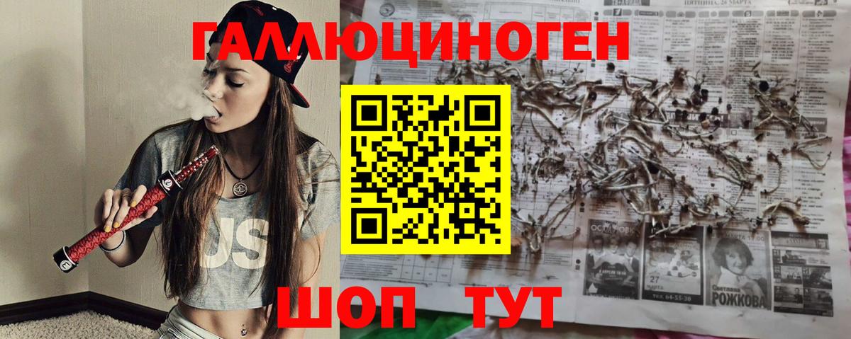 Псилоцибиновые грибы мицелий Дзержинск