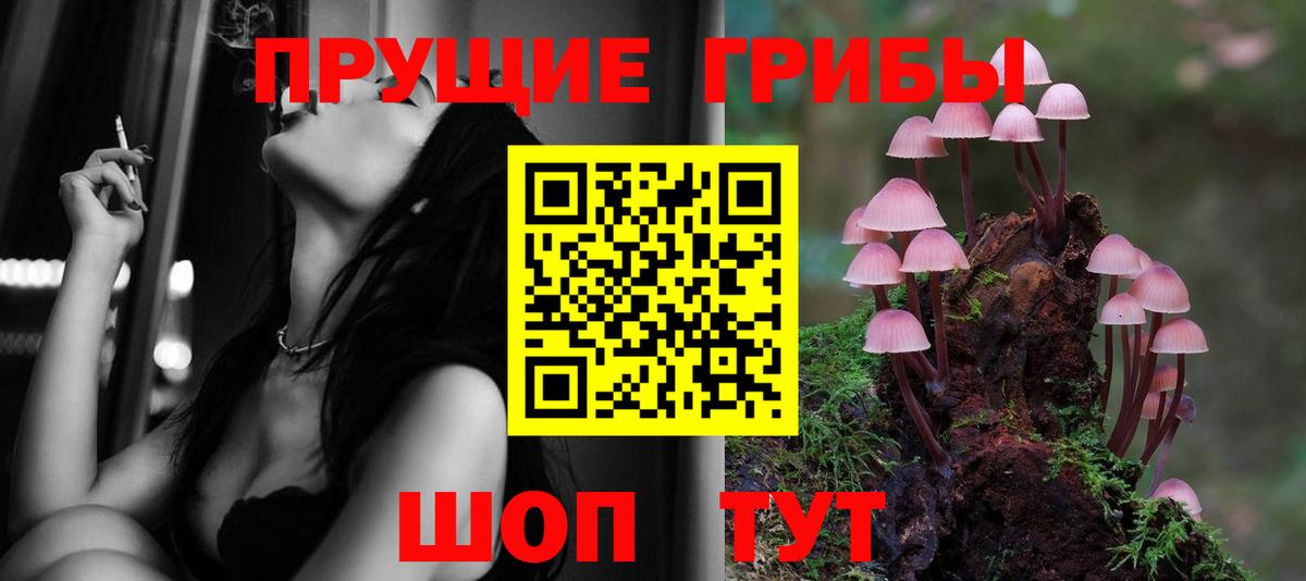 Псилоцибиновые грибы ЛСД  Вход с VPN  Дзержинск 
